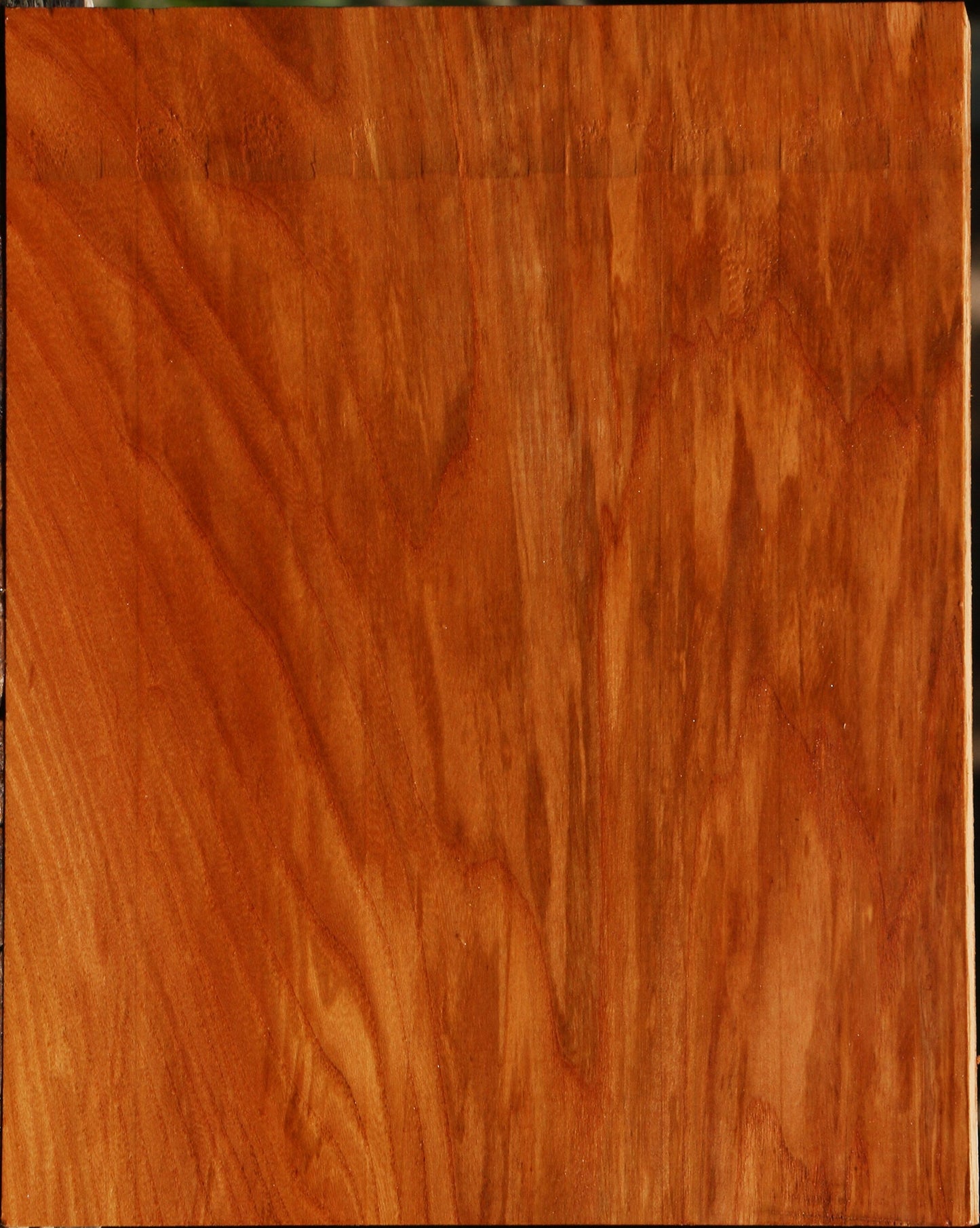 Chinese Elm Lumber