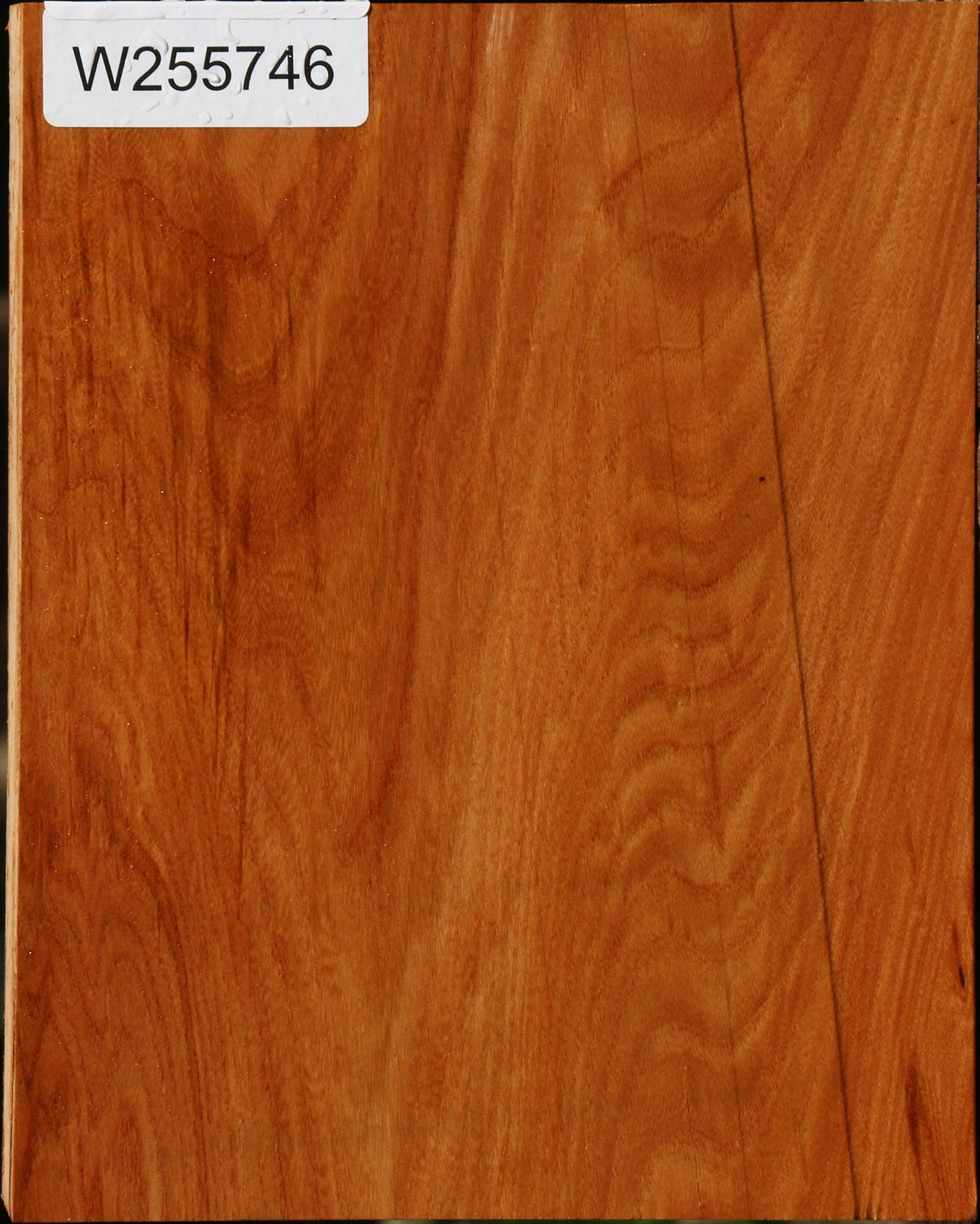 Chinese Elm Lumber