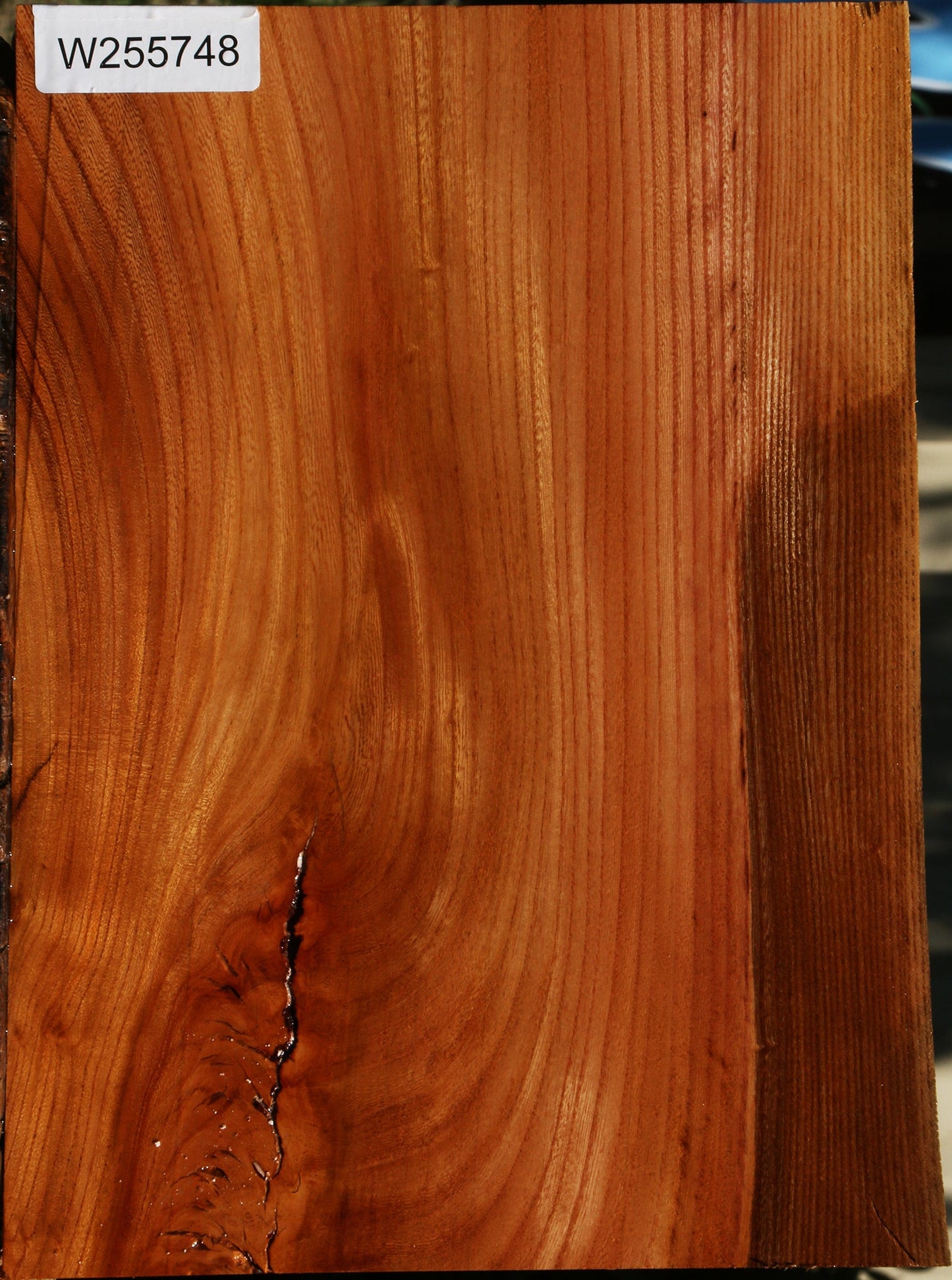 Chinese Elm Live Edge Lumber