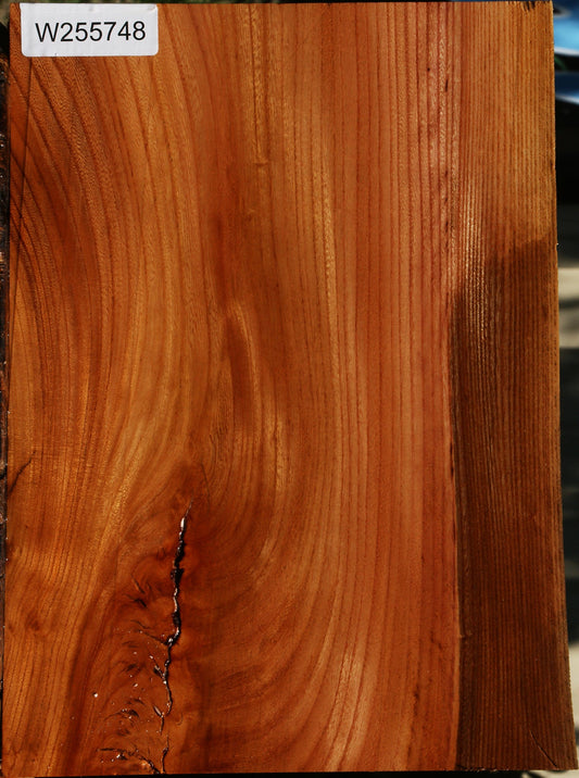 Chinese Elm Live Edge Lumber