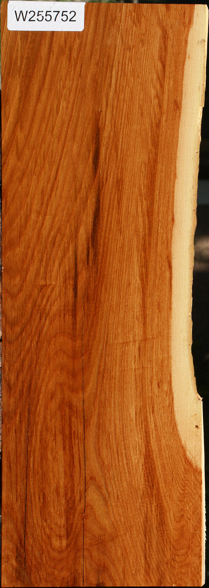 Chinese Elm Live Edge Lumber