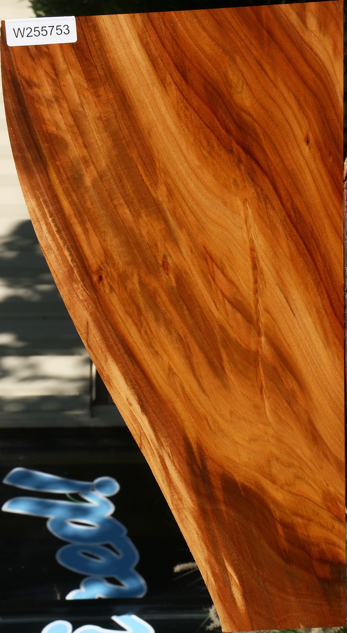 Chinese Elm Lumber
