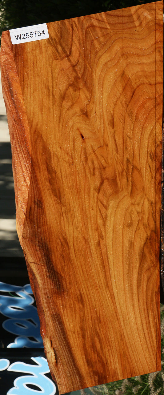 Chinese Elm Live Edge Mini Slab