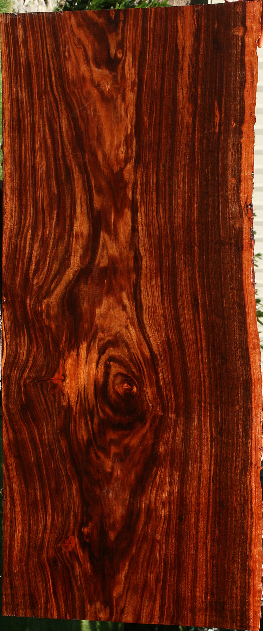 Figured Patagonian Rosewood Live Edge Lumber