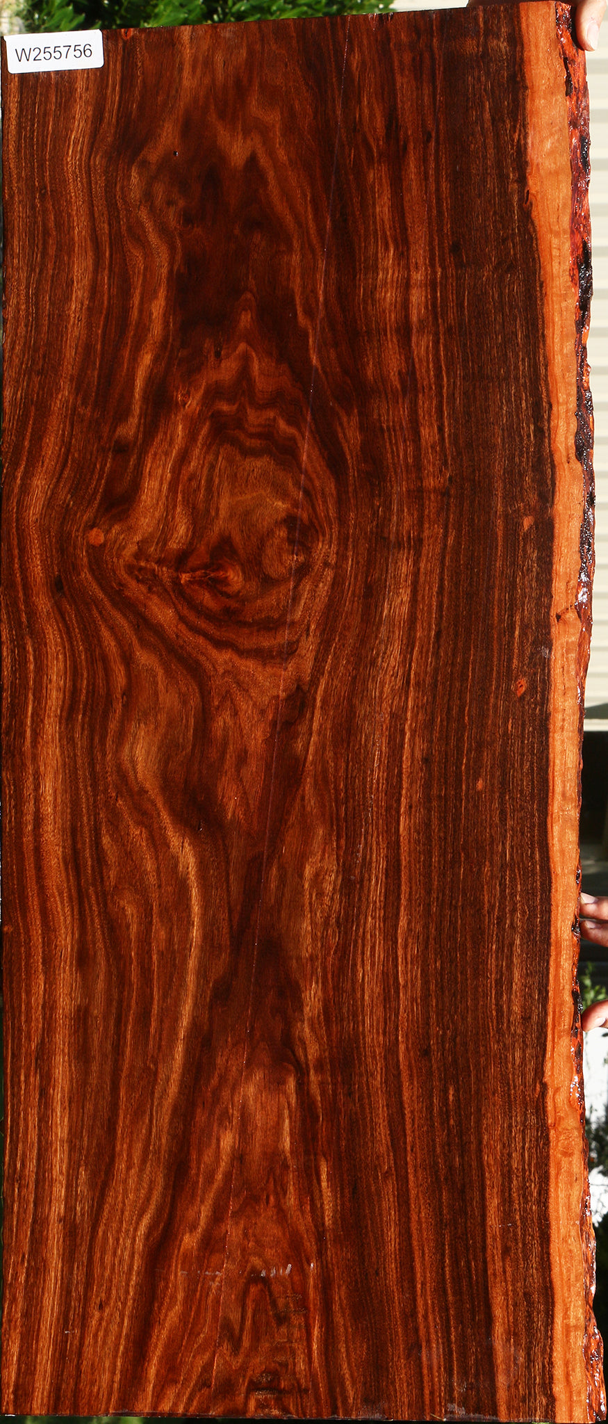 Figured Patagonian Rosewood Live Edge Lumber