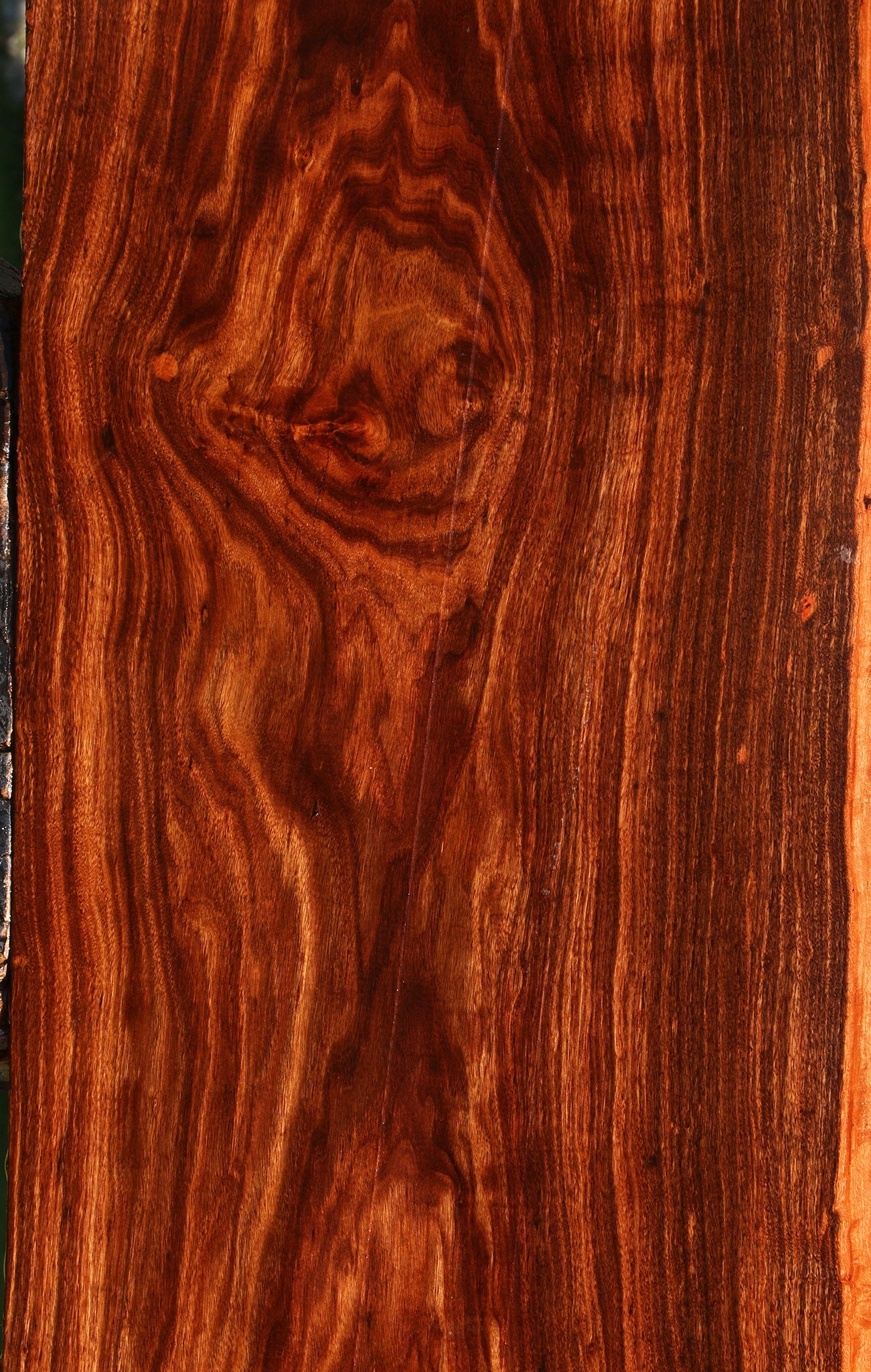 Figured Patagonian Rosewood Live Edge Lumber
