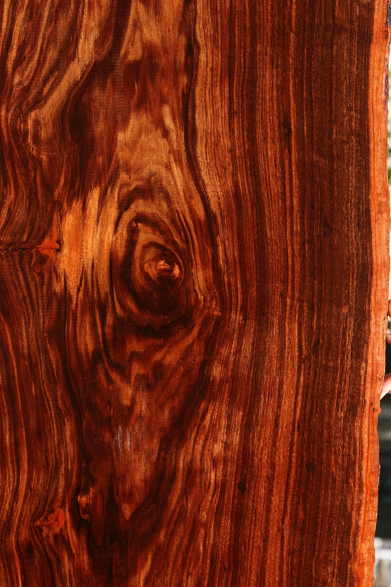 Figured Patagonian Rosewood Live Edge Lumber