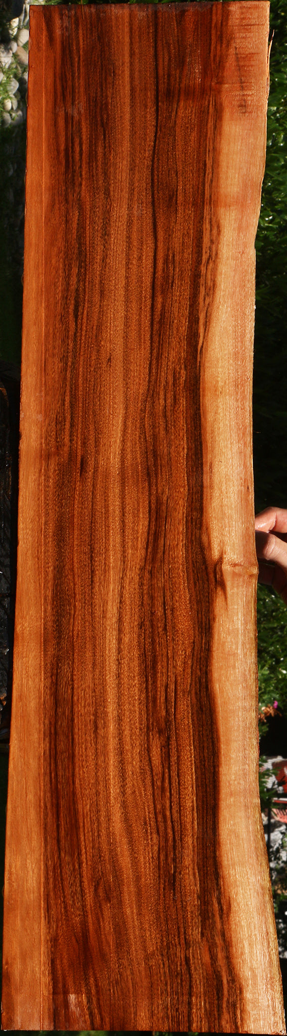 Figured Patagonian Rosewood Live Edge Lumber