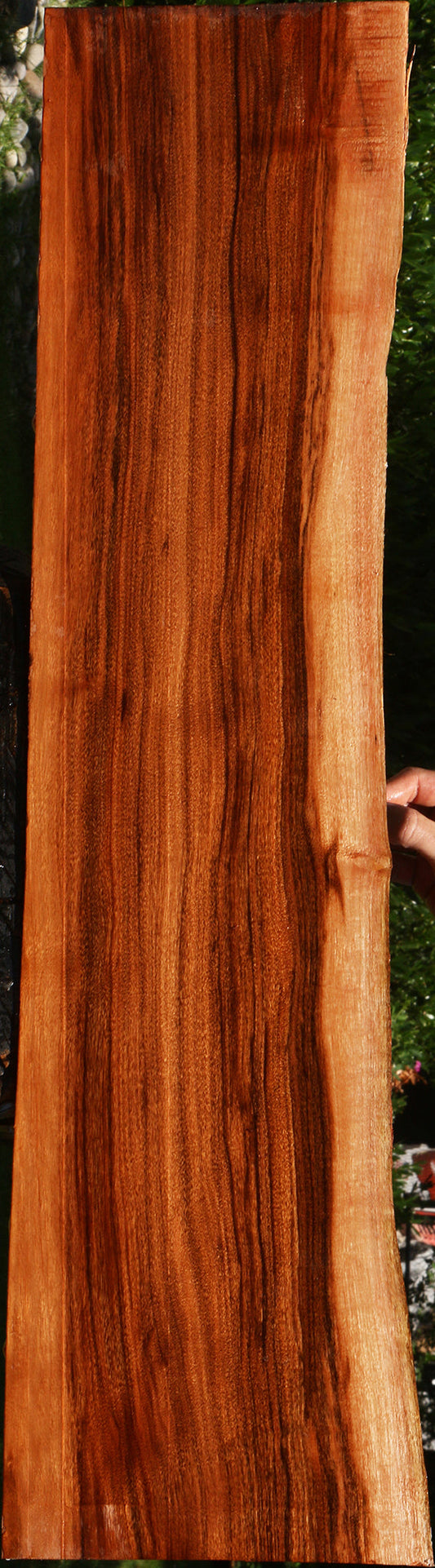 Figured Patagonian Rosewood Live Edge Lumber