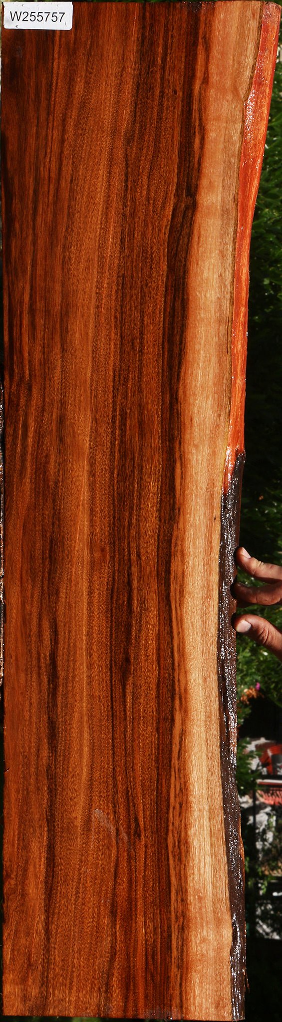 Figured Patagonian Rosewood Live Edge Lumber