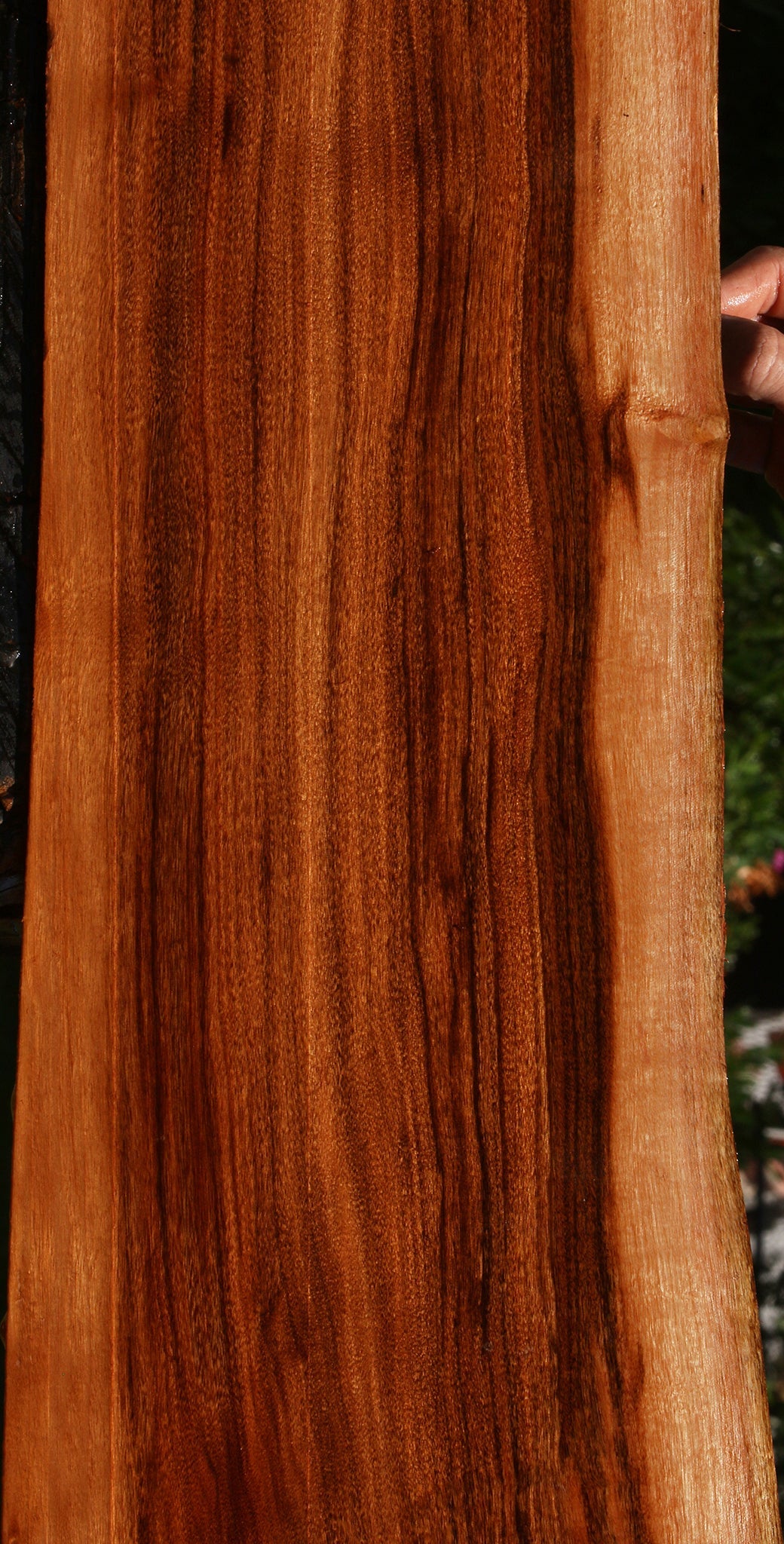 Figured Patagonian Rosewood Live Edge Lumber