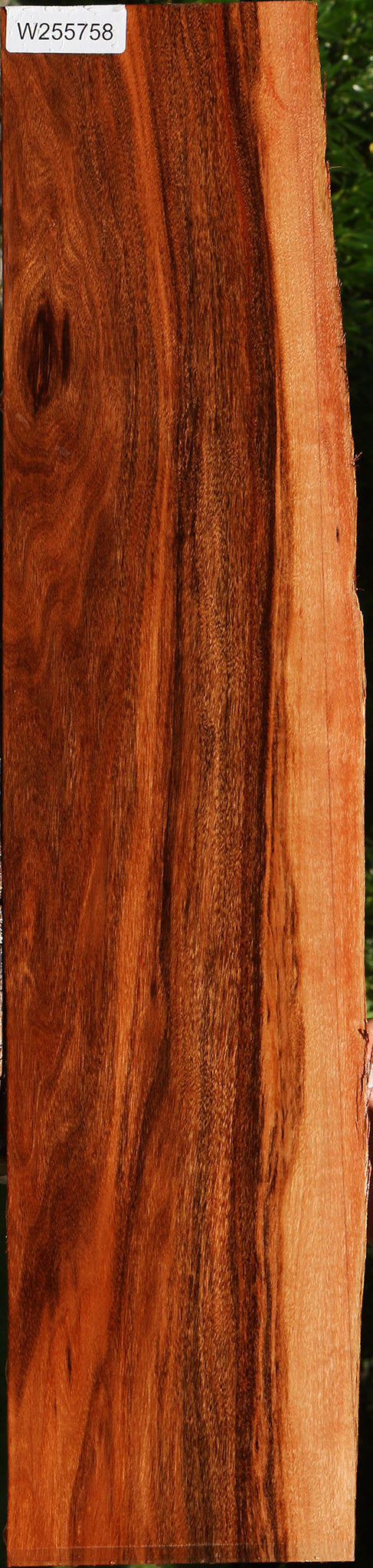 Patagonian Rosewood Live Edge Lumber