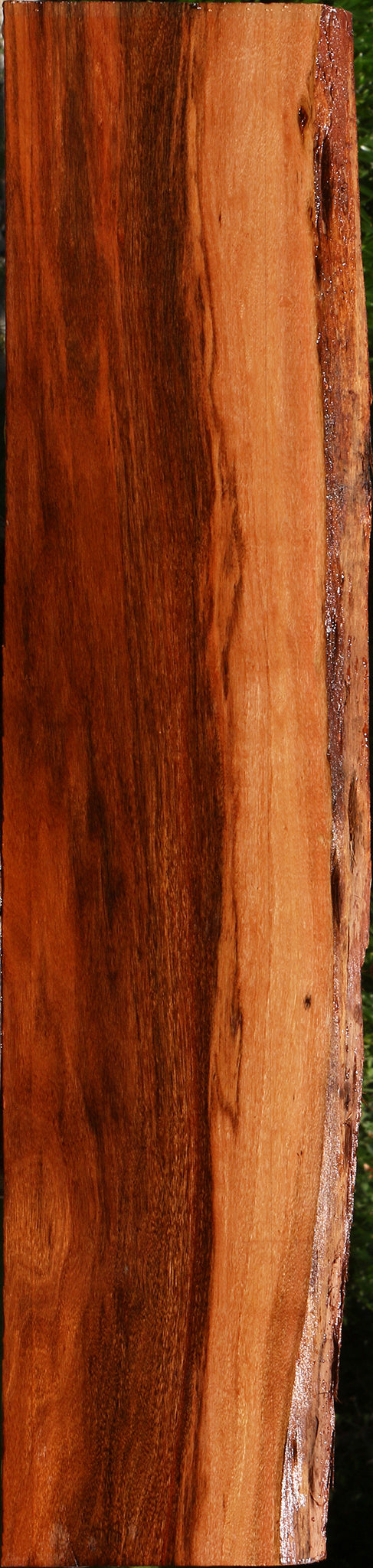 Patagonian Rosewood Live Edge Lumber