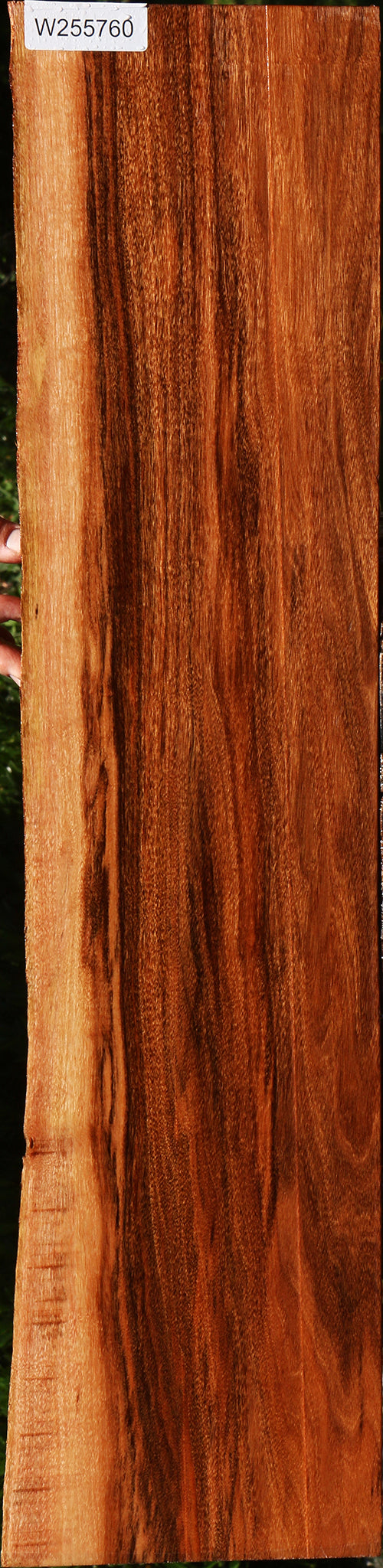 Patagonian Rosewood Live Edge Lumber
