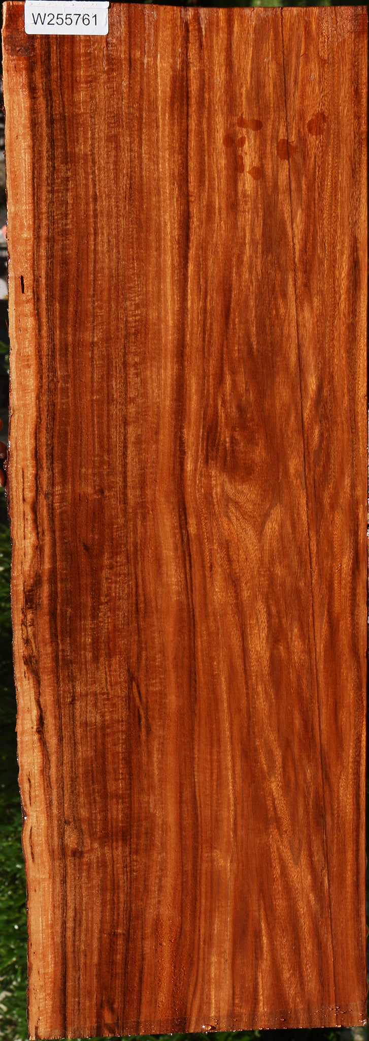 Figured Patagonian Rosewood Live Edge Lumber