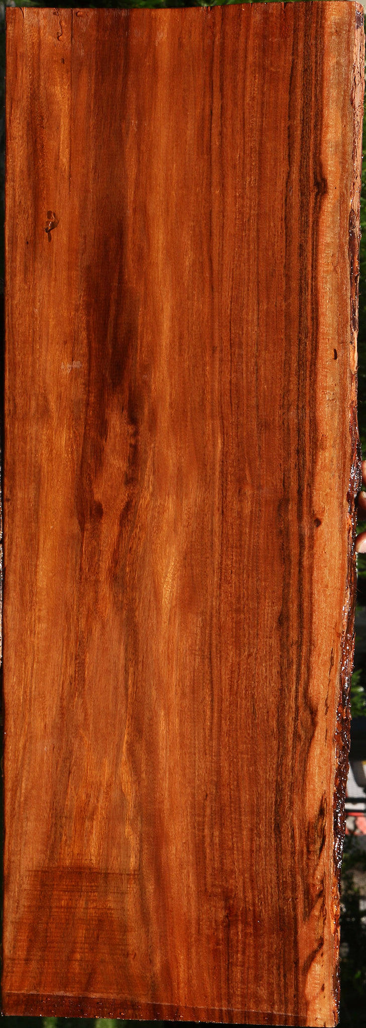 Figured Patagonian Rosewood Live Edge Lumber