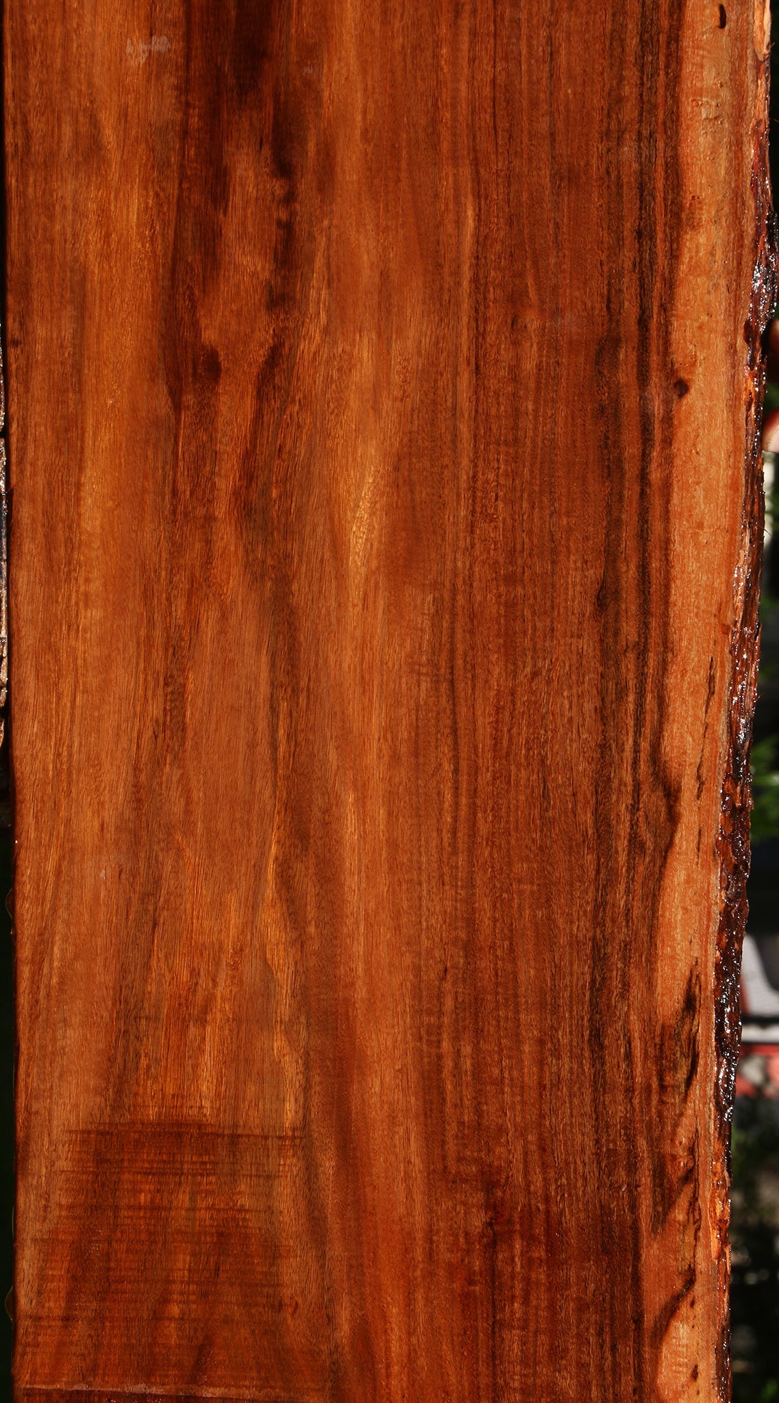 Figured Patagonian Rosewood Live Edge Lumber