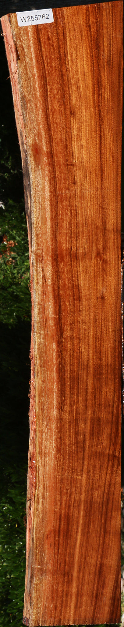 Figured Patagonian Rosewood Live Edge Lumber