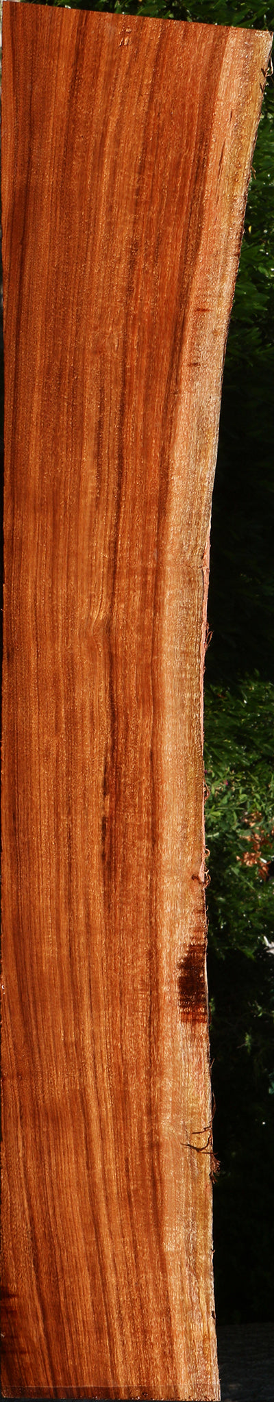 Figured Patagonian Rosewood Live Edge Lumber