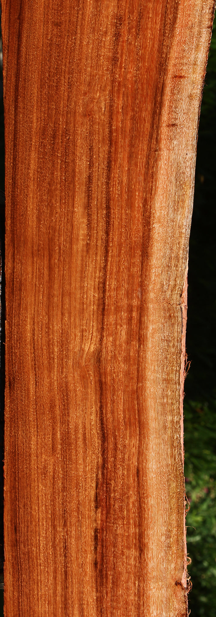 Figured Patagonian Rosewood Live Edge Lumber