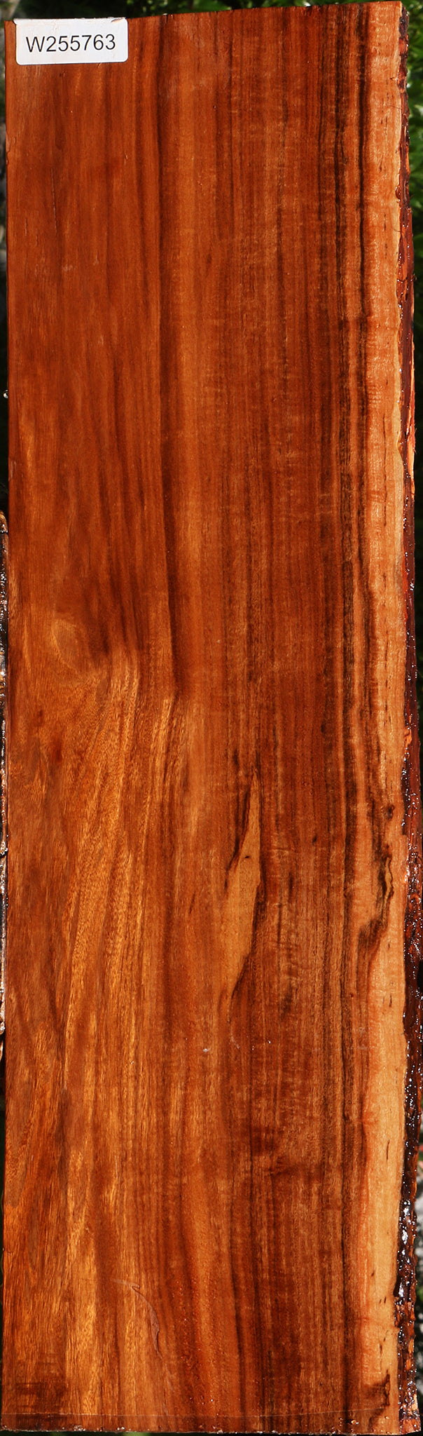 Extra Fancy Patagonian Rosewood Live Edge Lumber