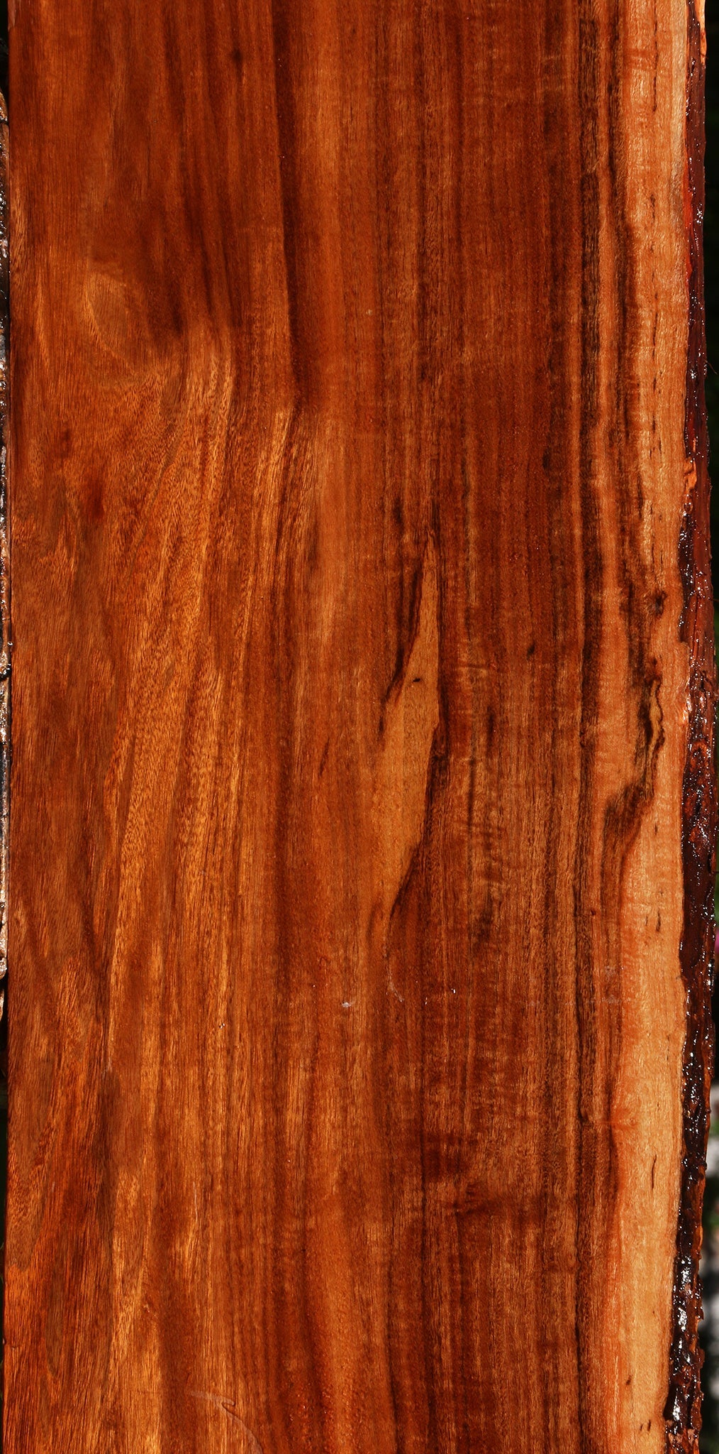 Extra Fancy Patagonian Rosewood Live Edge Lumber
