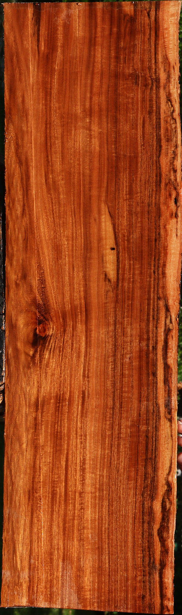 Extra Fancy Patagonian Rosewood Live Edge Lumber