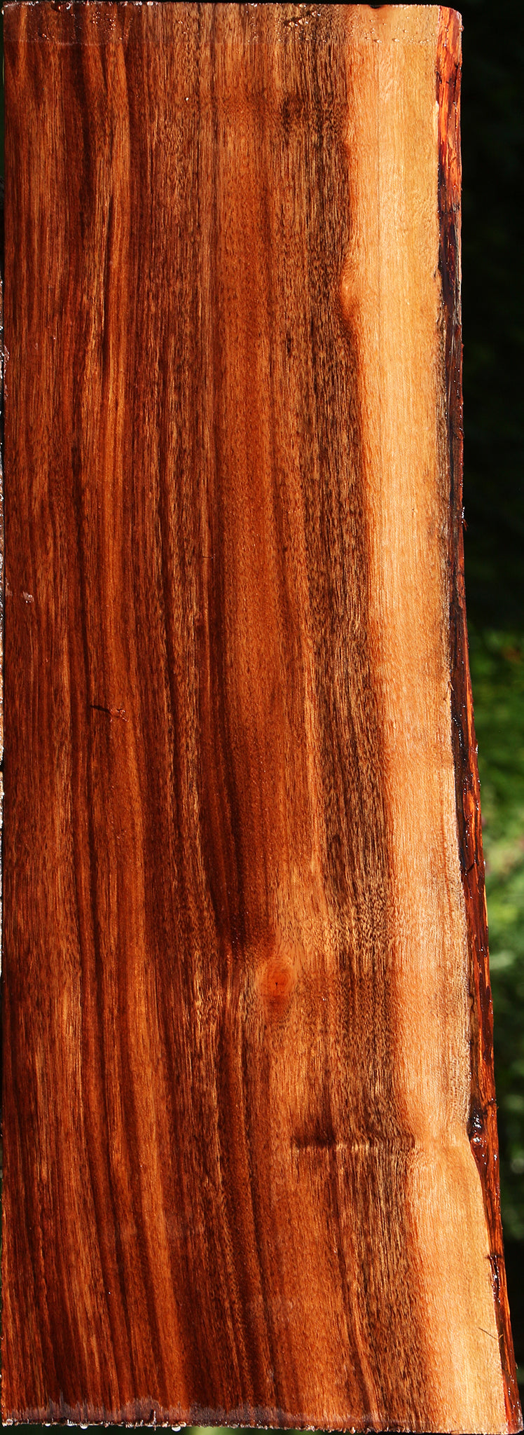 Figured Patagonian Rosewood Live Edge Lumber