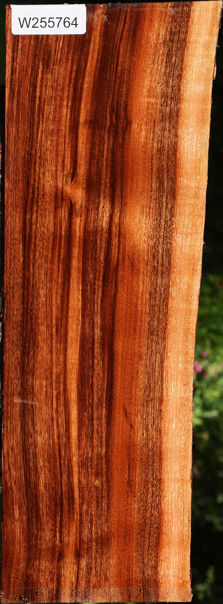 Figured Patagonian Rosewood Live Edge Lumber