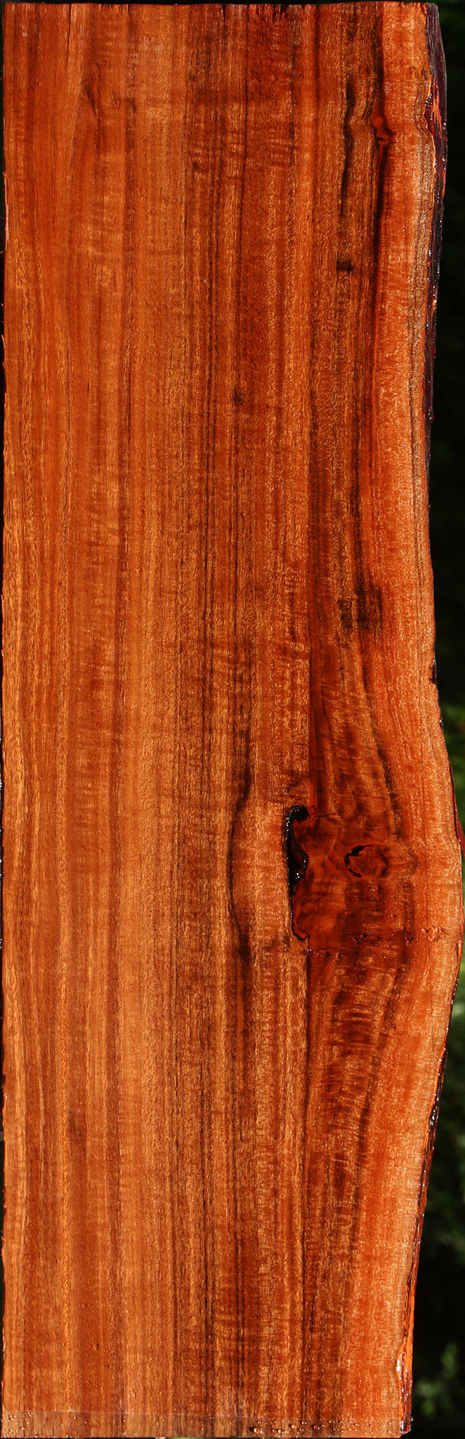 Extra Fancy Quartersawn Patagonian Rosewood Live Edge Lumber