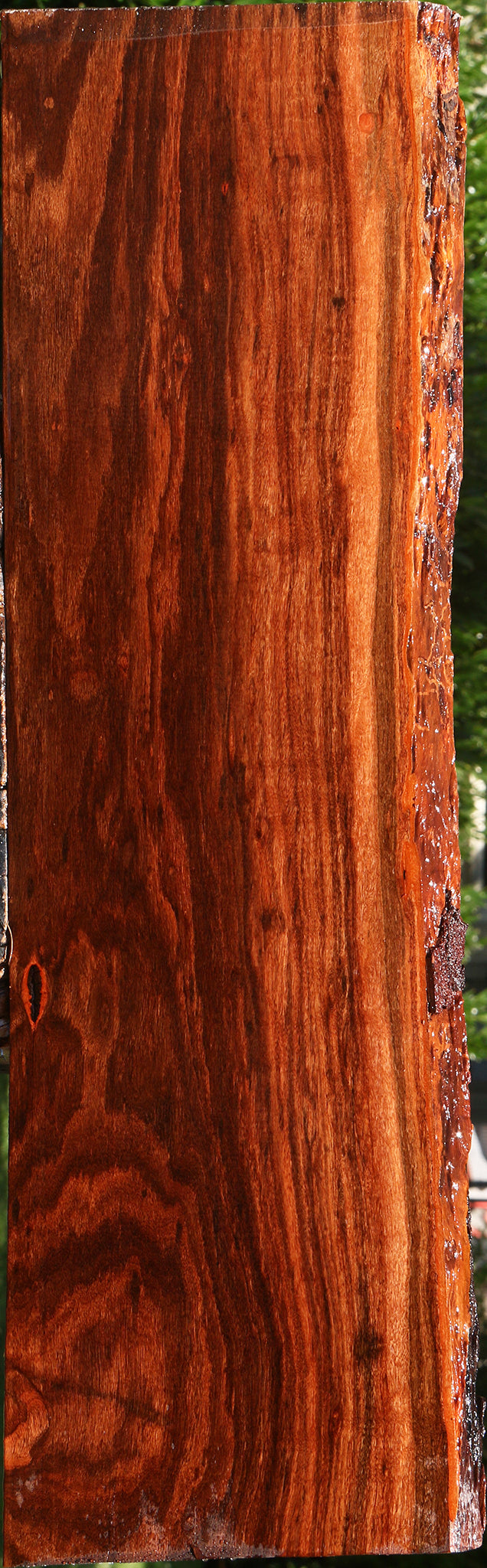 Extra Fancy Patagonian Rosewood Live Edge Lumber