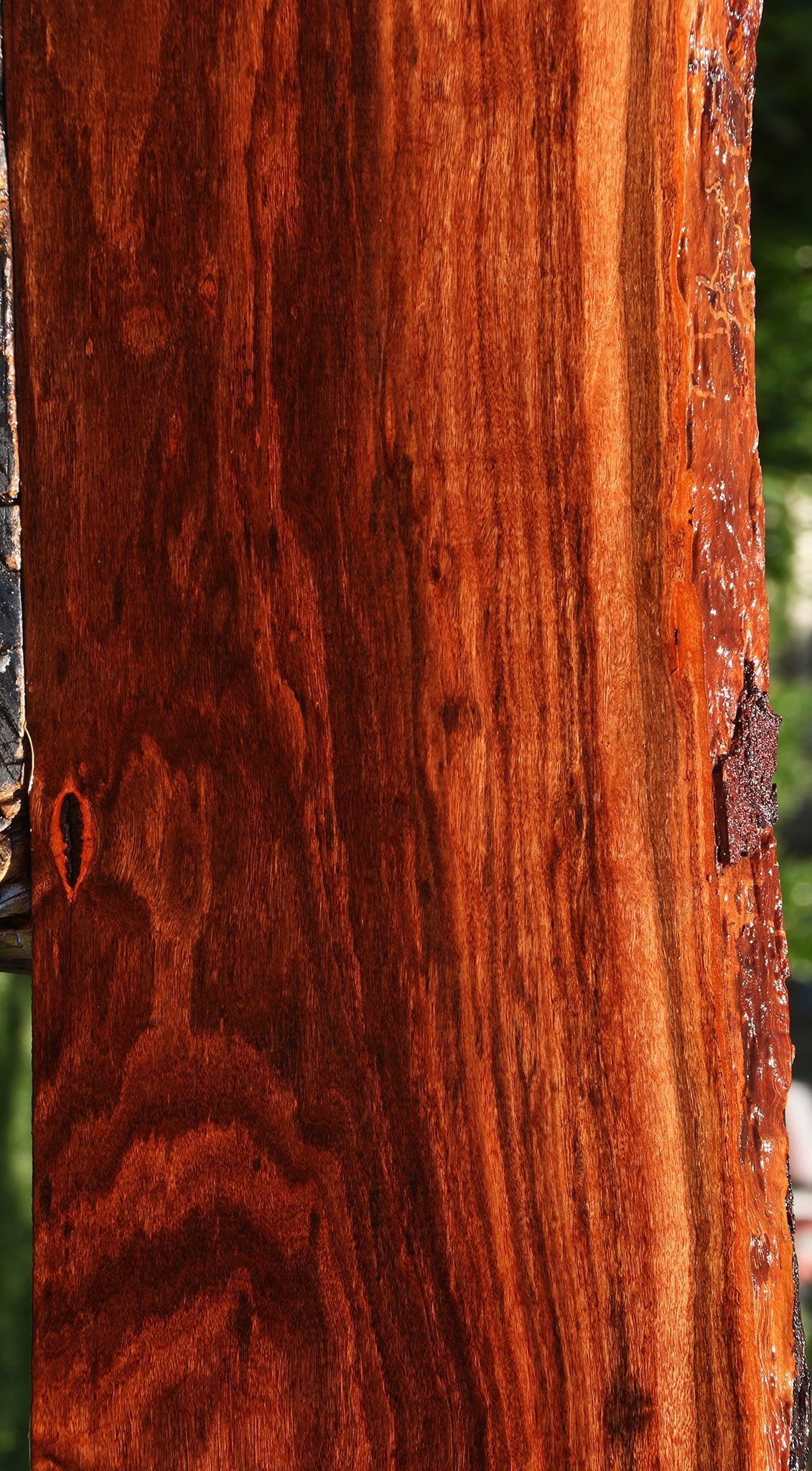 Extra Fancy Patagonian Rosewood Live Edge Lumber