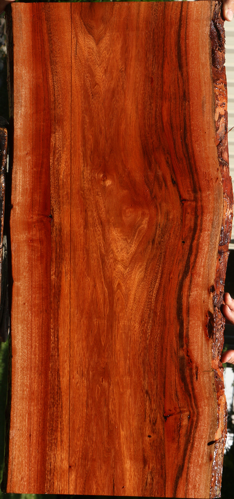 Figured Patagonian Rosewood Live Edge Lumber
