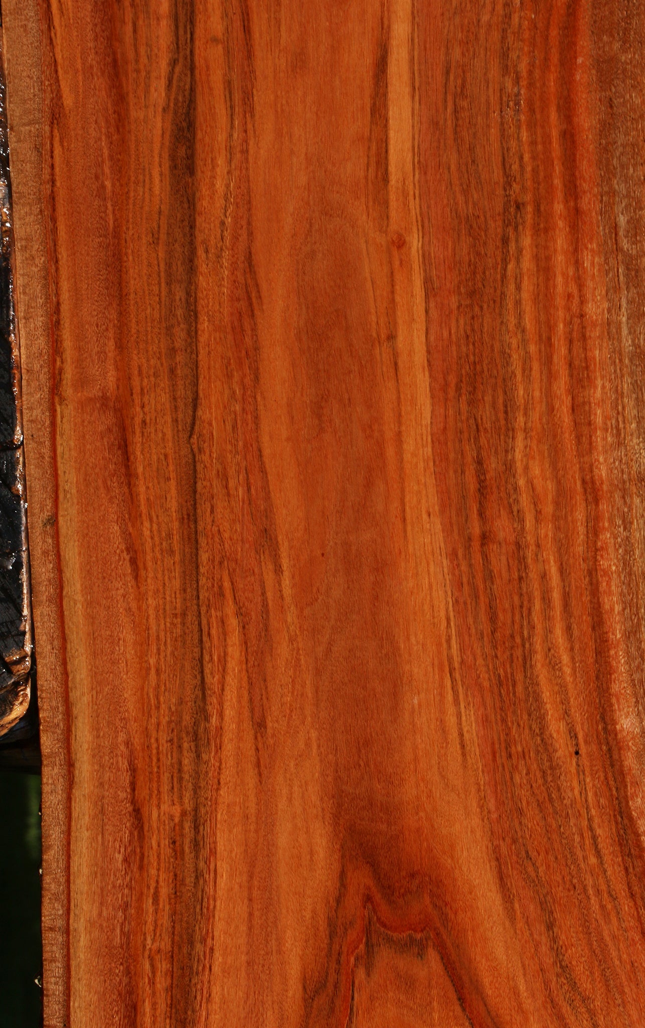 Figured Patagonian Rosewood Live Edge Lumber