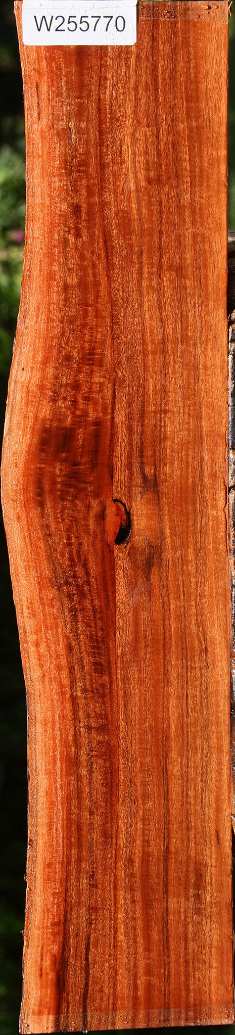 Extra Fancy Patagonian Rosewood Live Edge Lumber
