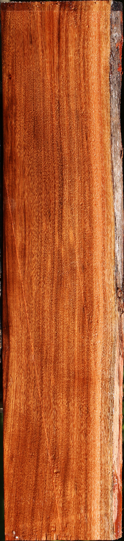 Patagonian Rosewood Live Edge Lumber