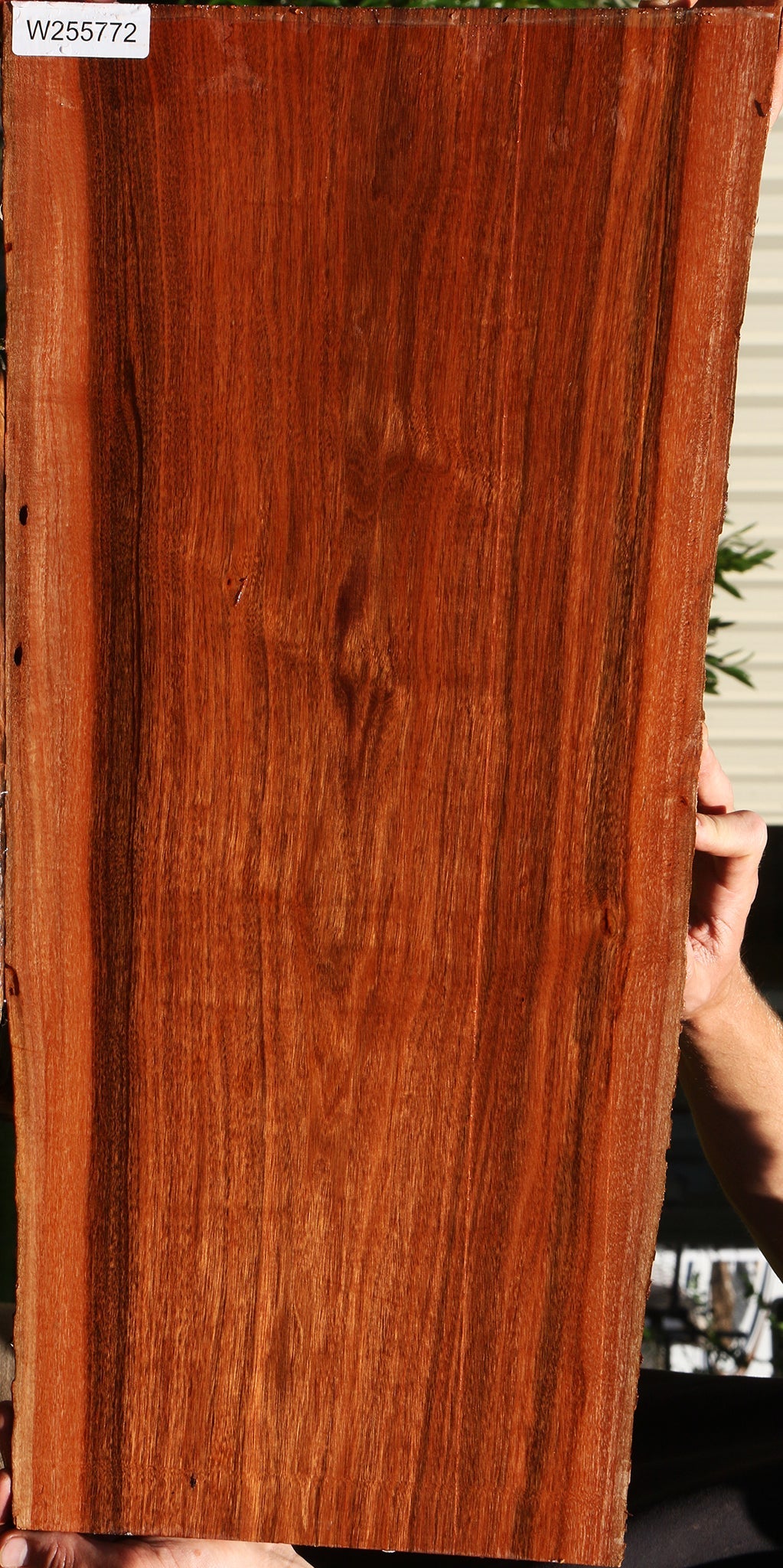 Figured Patagonian Rosewood Live Edge Lumber