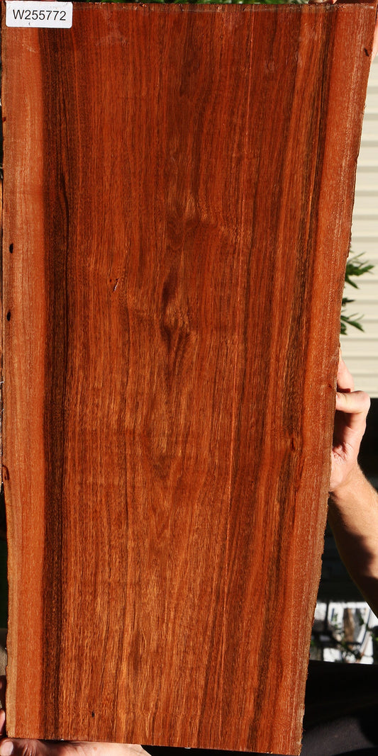 Figured Patagonian Rosewood Live Edge Lumber