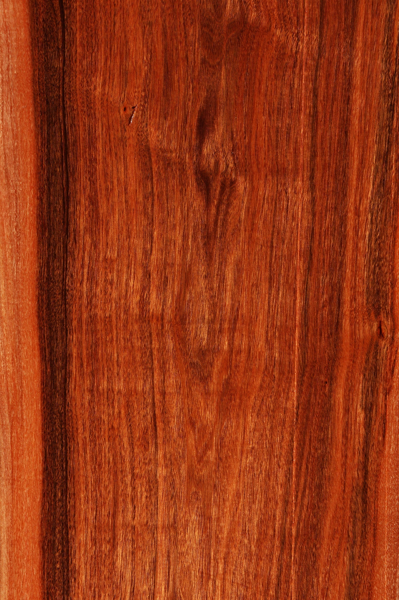 Figured Patagonian Rosewood Live Edge Lumber