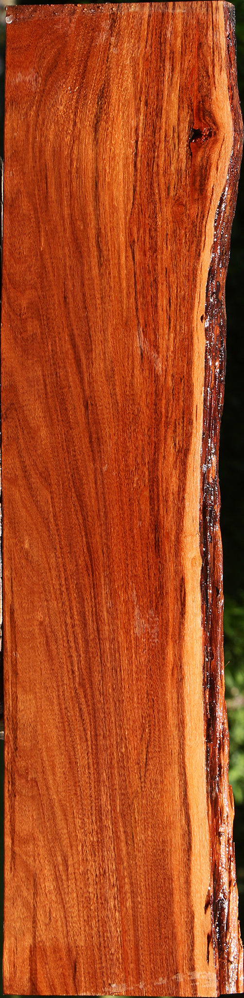 Patagonian Rosewood Live Edge Lumber