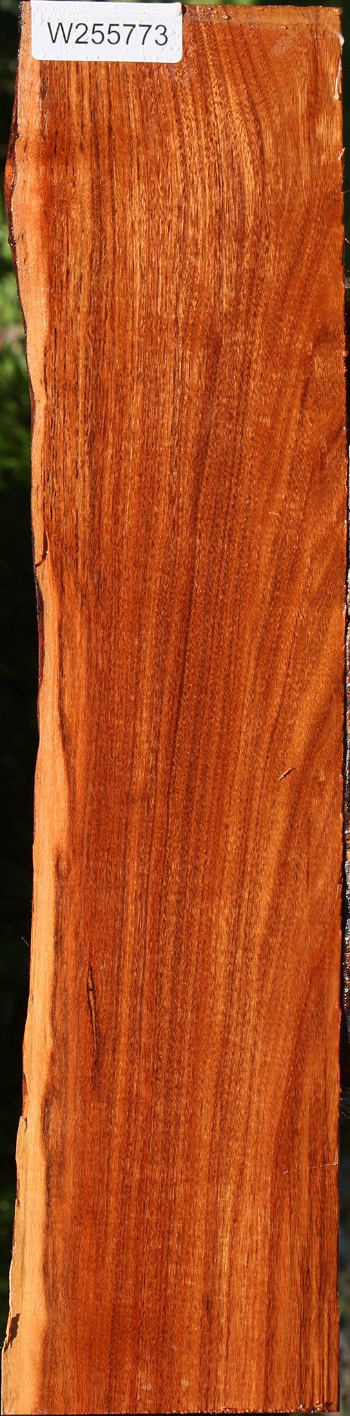 Patagonian Rosewood Live Edge Lumber