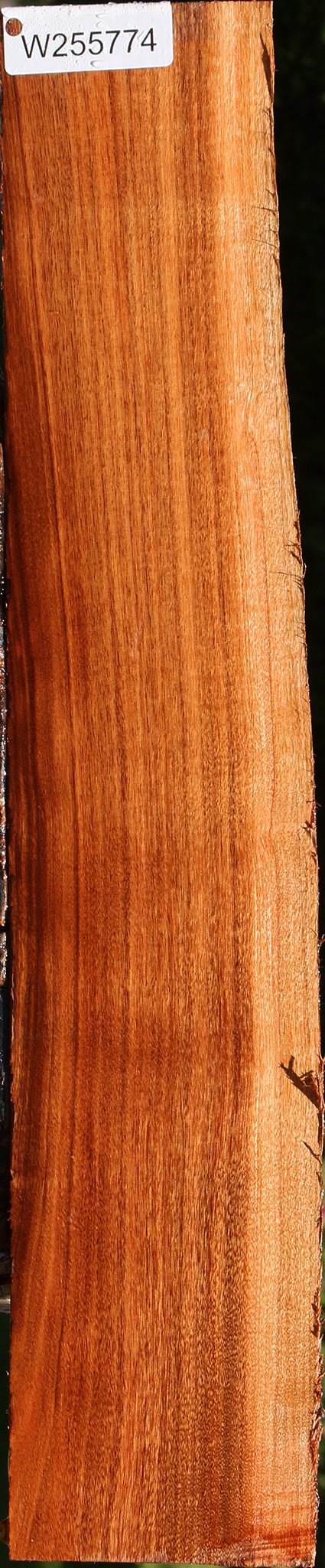 Patagonian Rosewood Live Edge Lumber