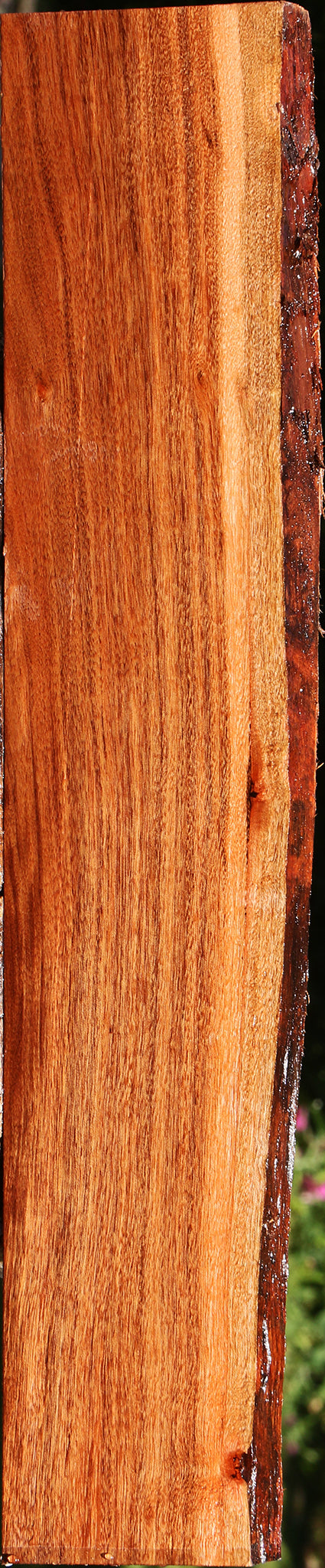 Patagonian Rosewood Live Edge Lumber