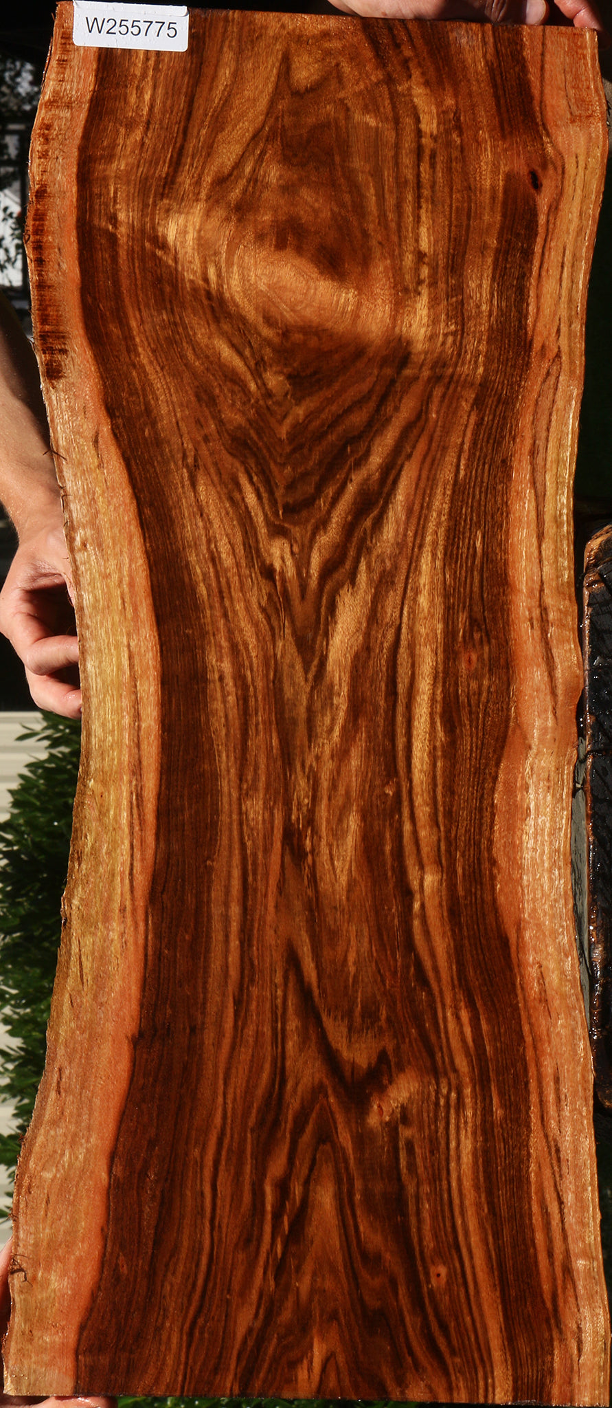 Figured Patagonian Rosewood Live Edge Lumber