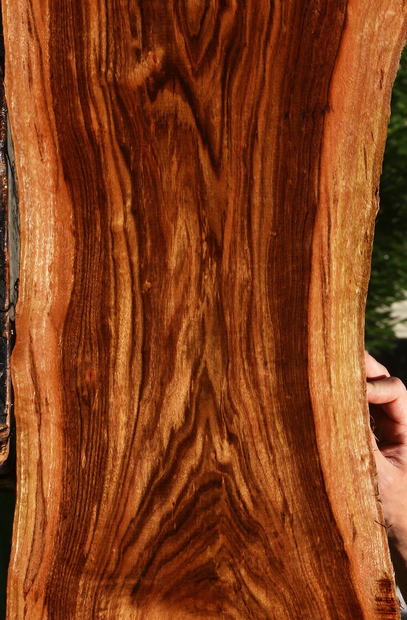 Figured Patagonian Rosewood Live Edge Lumber