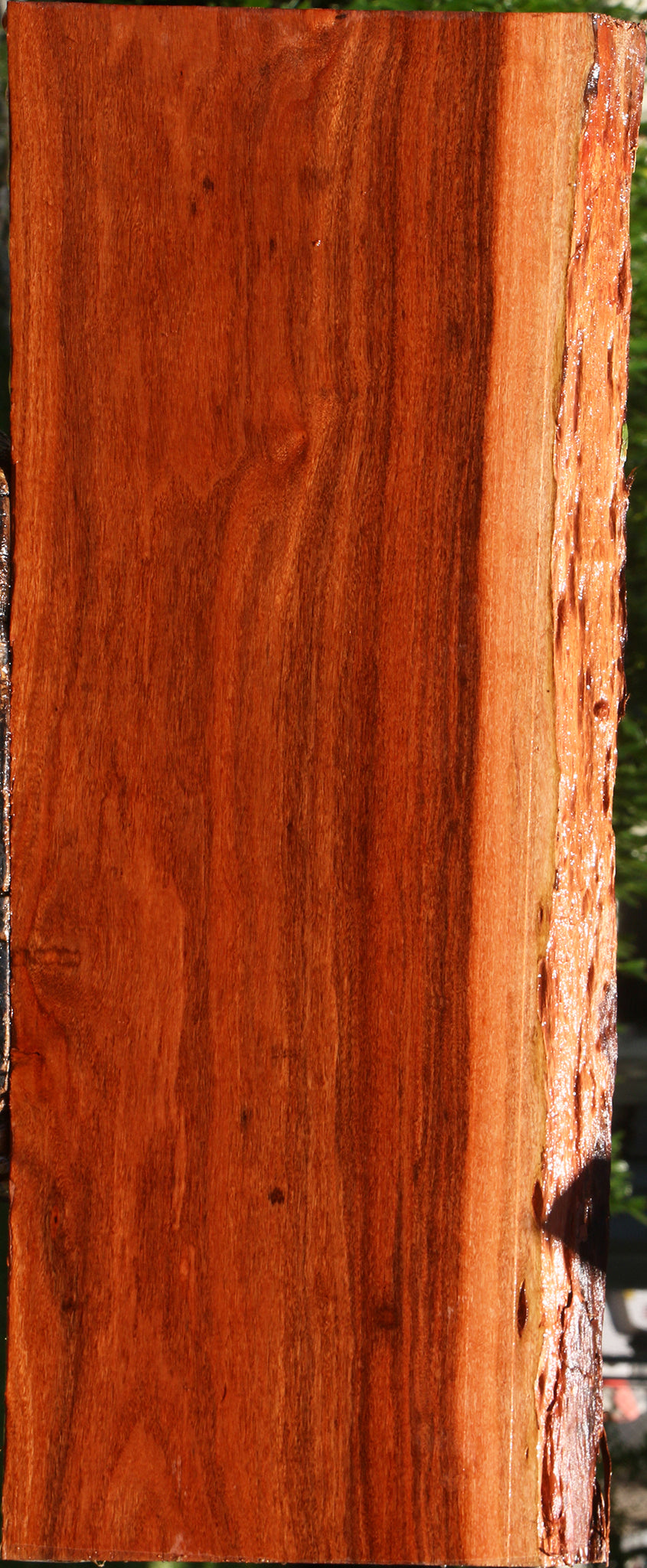 Patagonian Rosewood Live Edge Lumber
