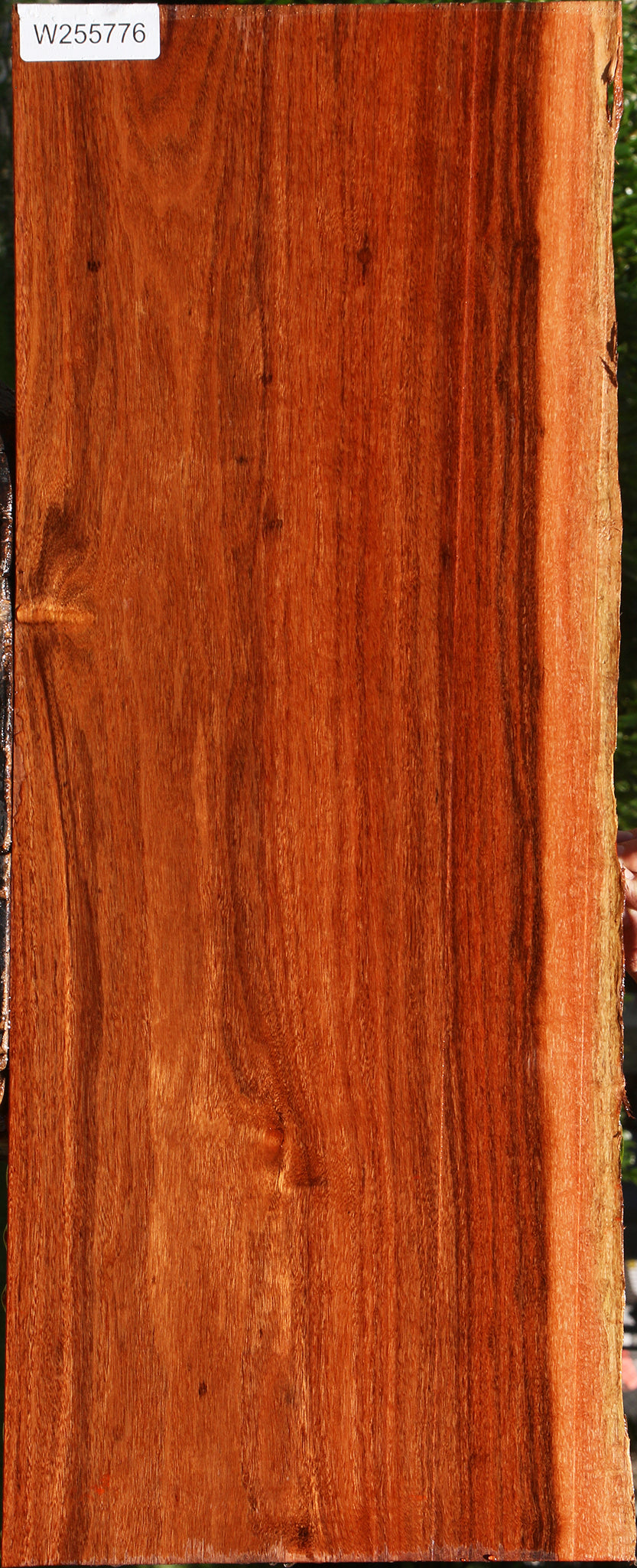 Patagonian Rosewood Live Edge Lumber