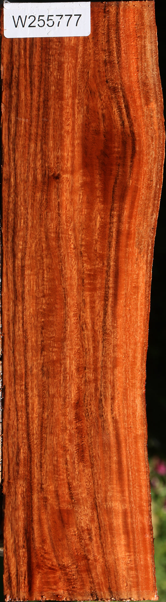 Figured Patagonian Rosewood Live Edge Lumber