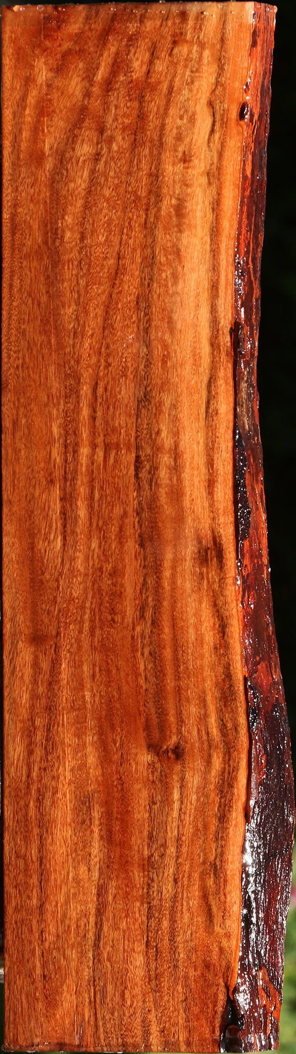 Figured Patagonian Rosewood Live Edge Lumber