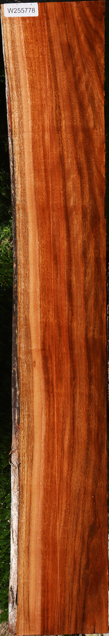 Figured Patagonian Rosewood Live Edge Lumber